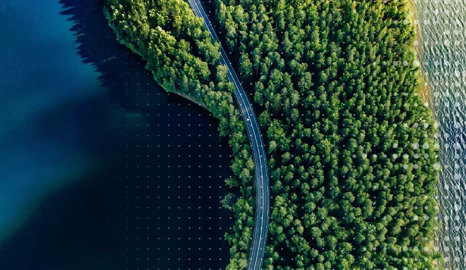 SAV testimonial image