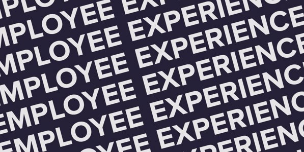 AI and the future of bespoke software: Transforming the employee experience